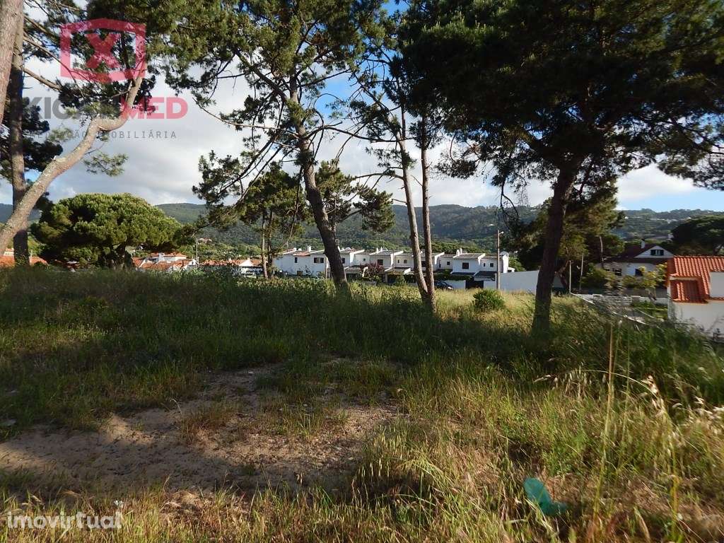 PIP APROVADO - COLARES - Grande imagem: 4/28