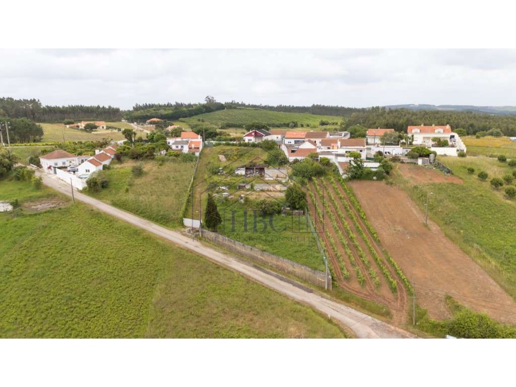 Terreno com Potencial de Construção e Vista Serra de Montejunto - B... - Grande imagem: 3/16