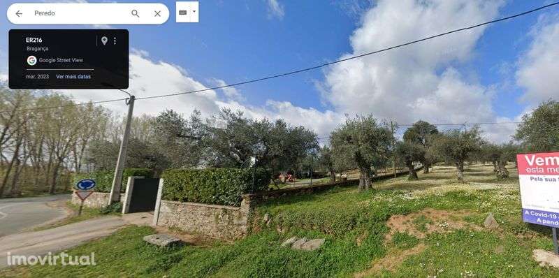 Olival com 142 oliveiras, quase 1 hectare - Grande imagem: 2/2