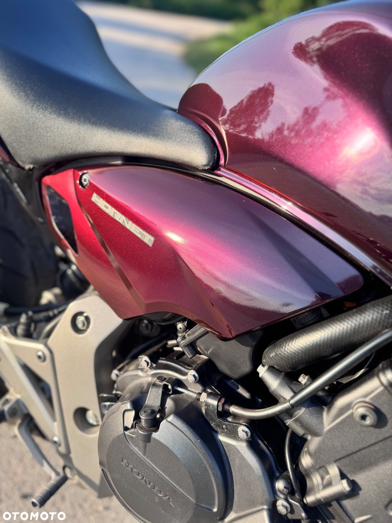 Honda Hornet - 8