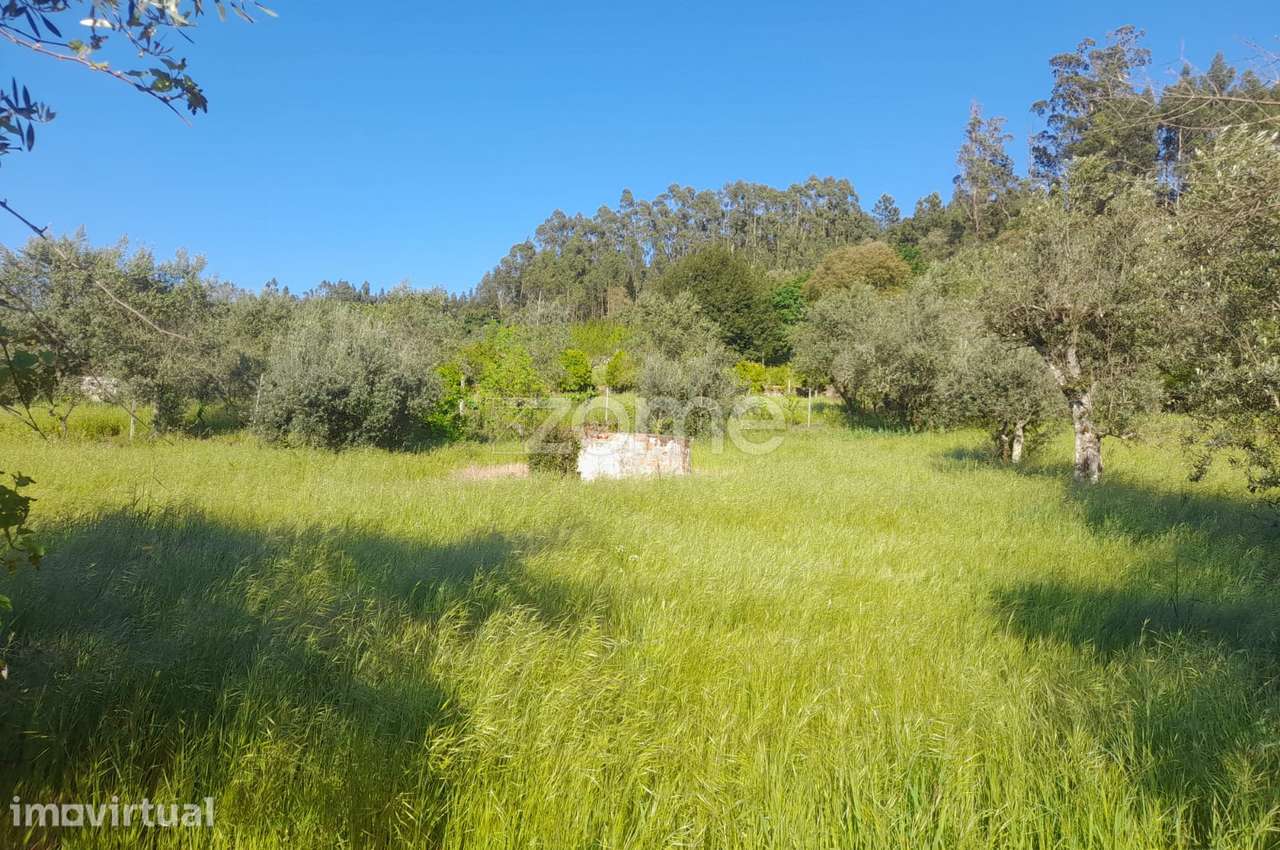 terreno rustico - Grande imagem: 5/24