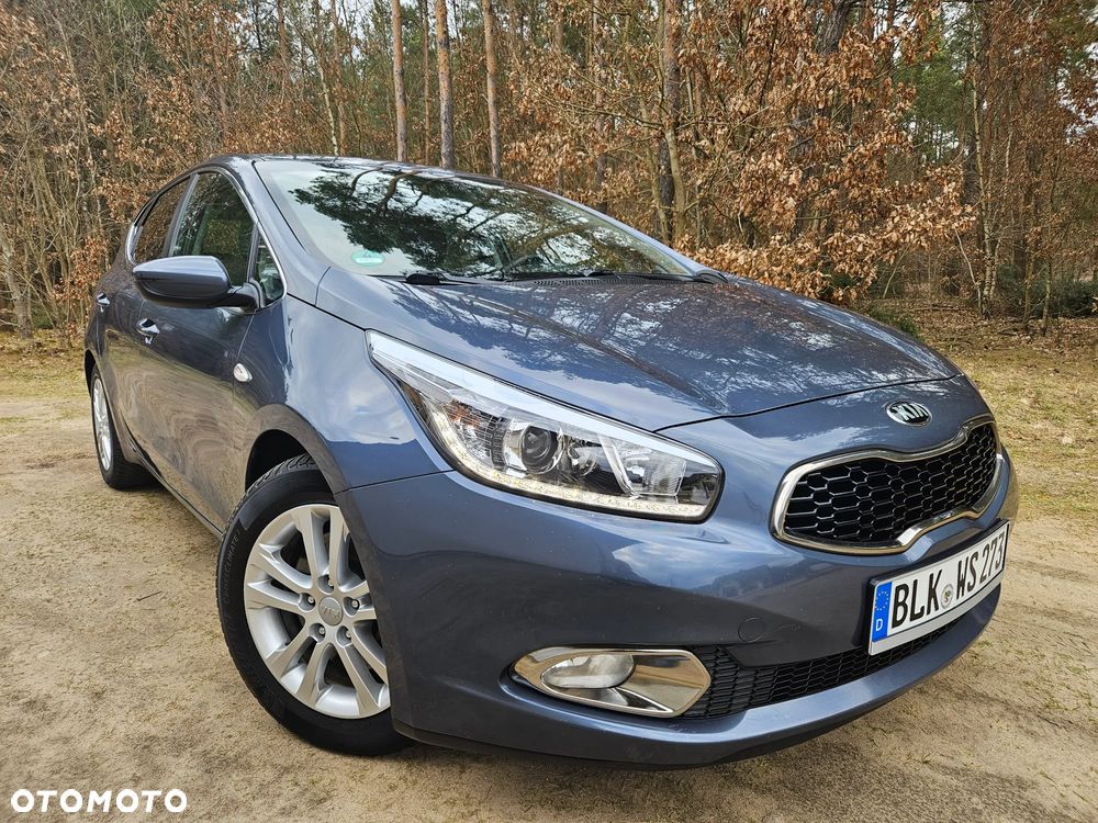 Kia Ceed - 1