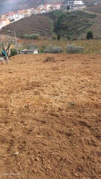 Terreno 1000m^2 Bom Preço - Grande imagem: 4/5