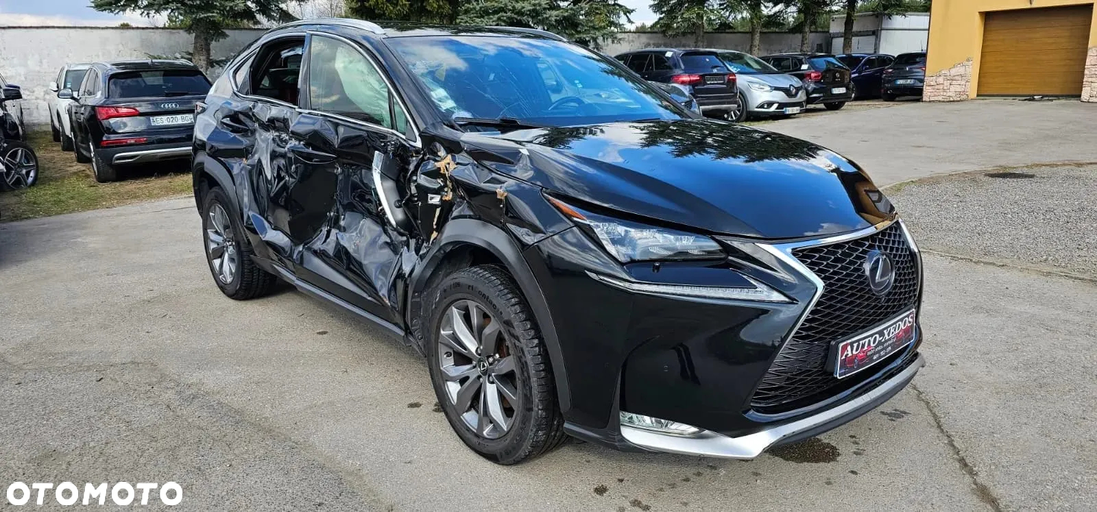 Lexus NX 300h F Sport Edition AWD - 3