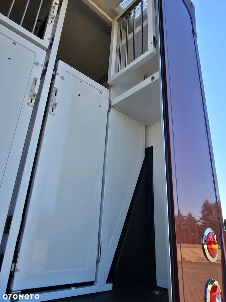 Renault Master Koniowóz - 27