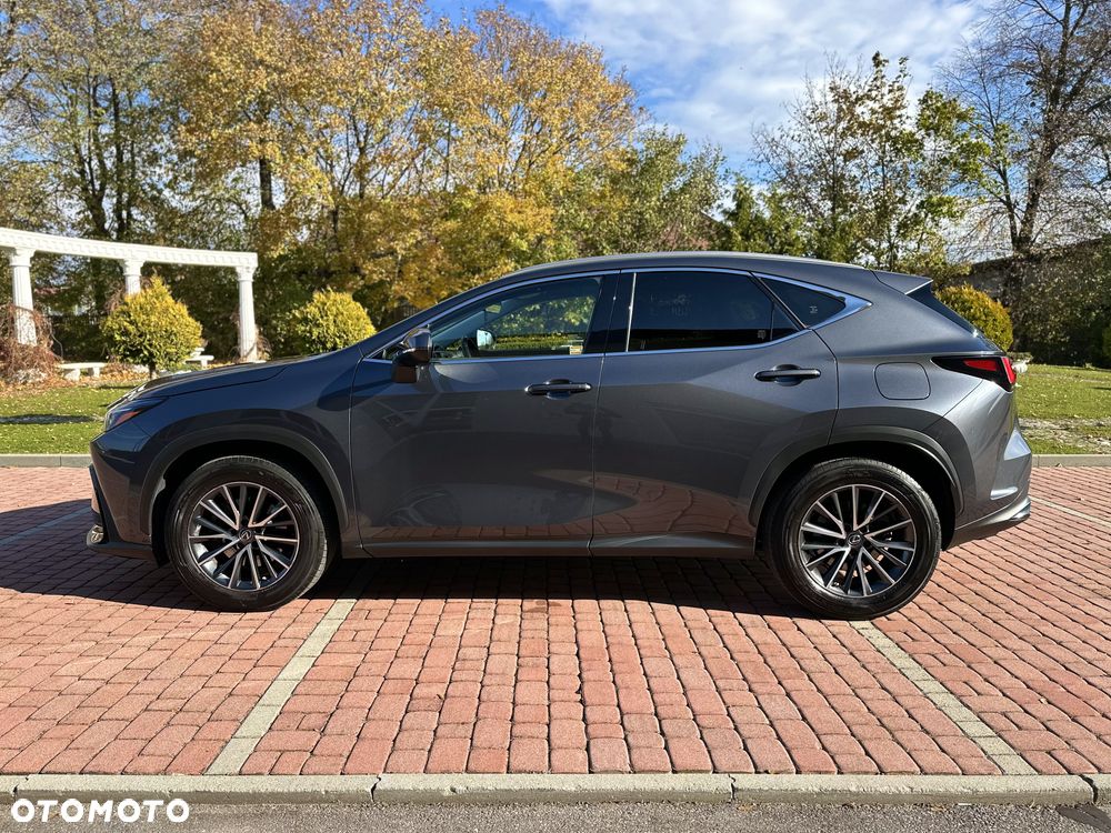 Lexus NX 350h Prestige 2WD - 6