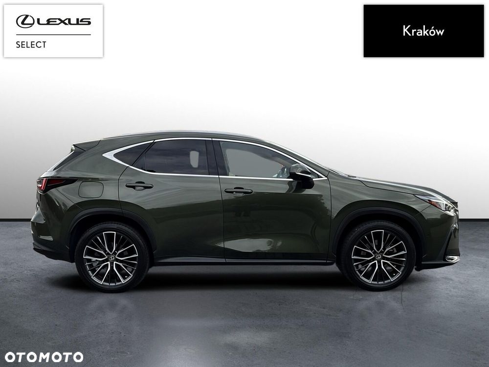 Lexus NX - 6