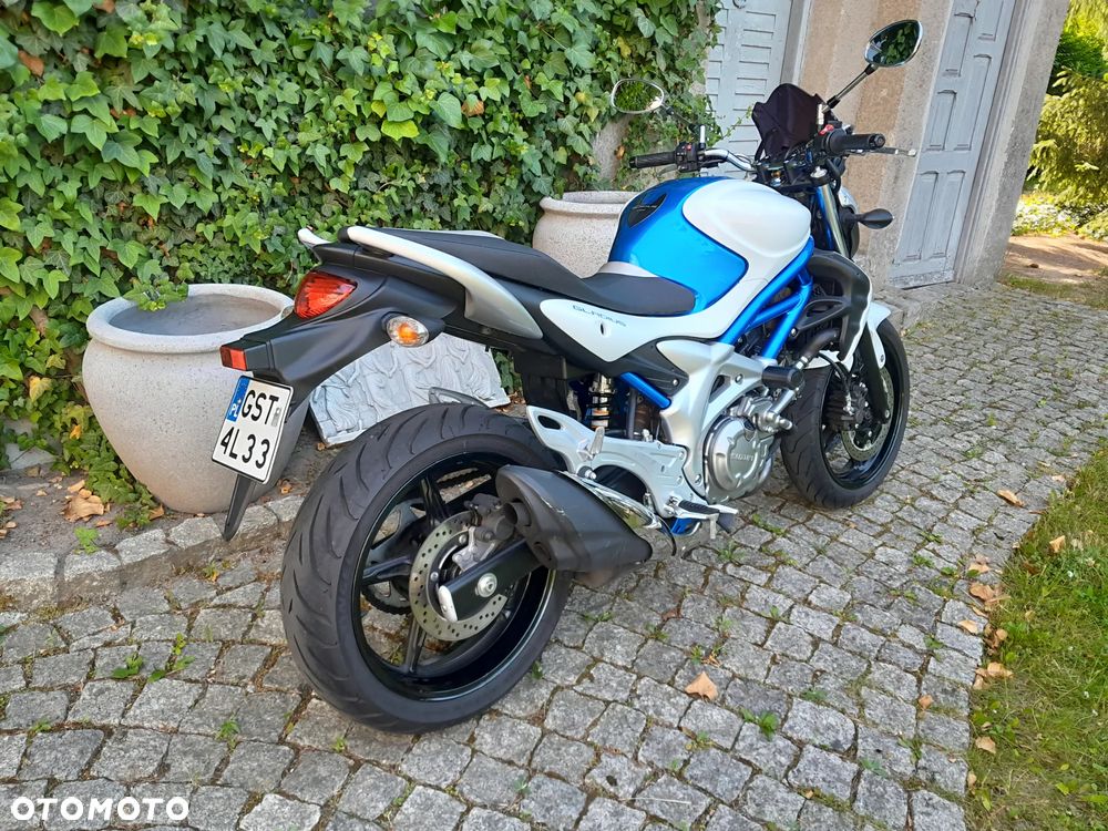 Suzuki Gladius - 10