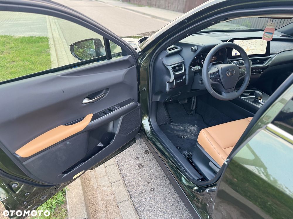 Lexus UX 300h F Sport AWD - 15