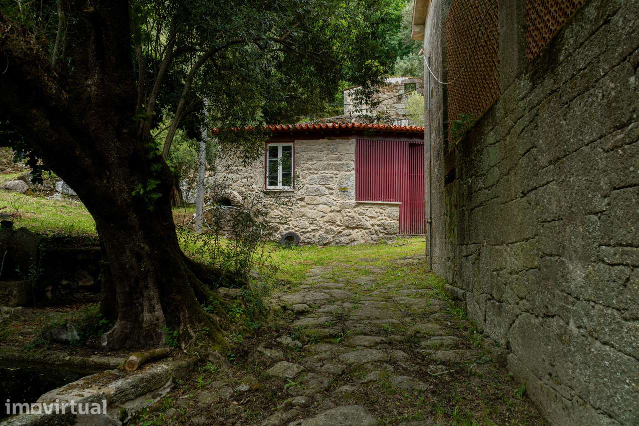 Quinta dos Sonhos em Braga: 10 Hectares de História, Natureza e Potenc - Grande imagem: 4/47