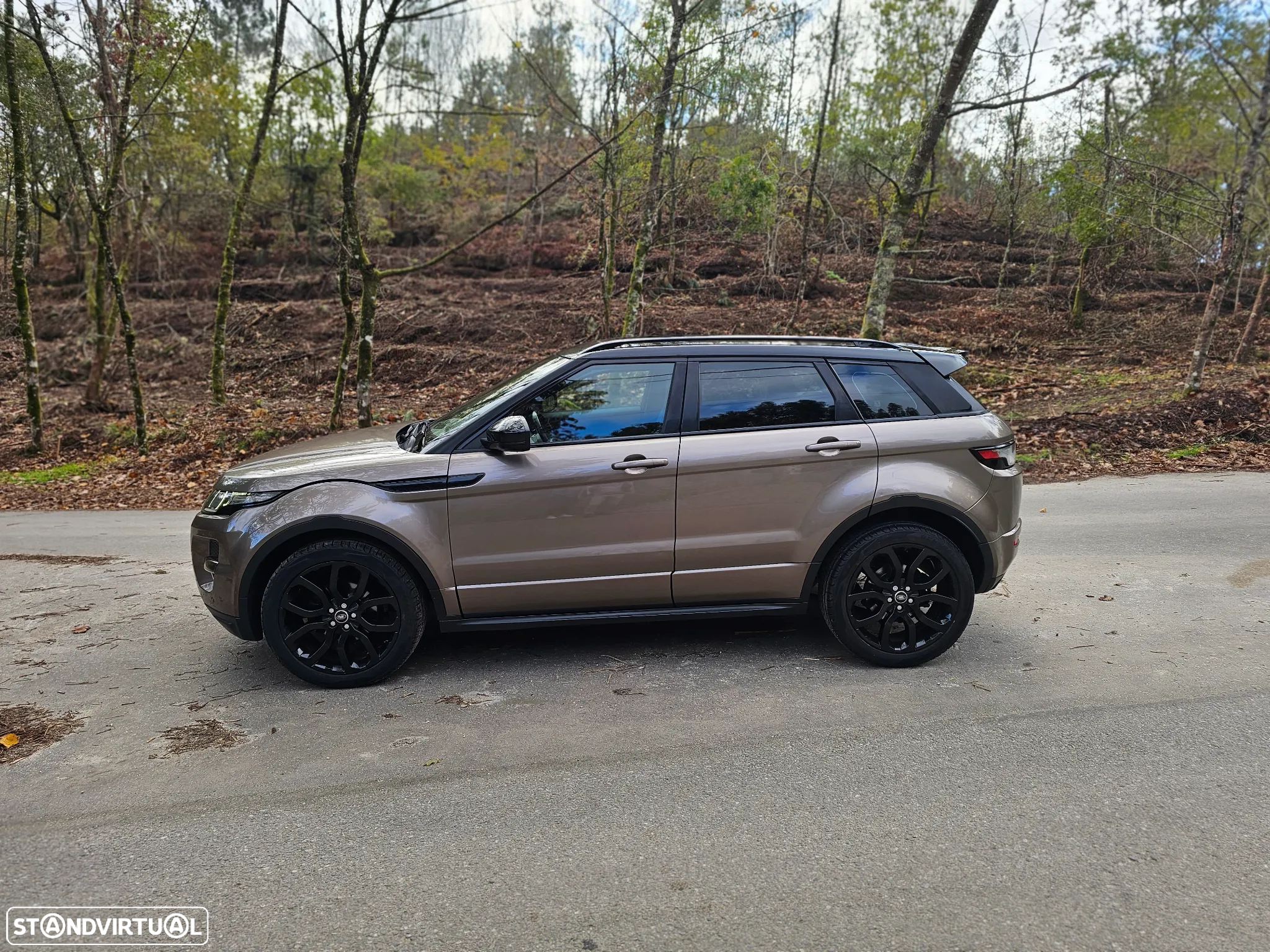 Land Rover Range Rover Evoque 2.2 DW12C Prestige - 6