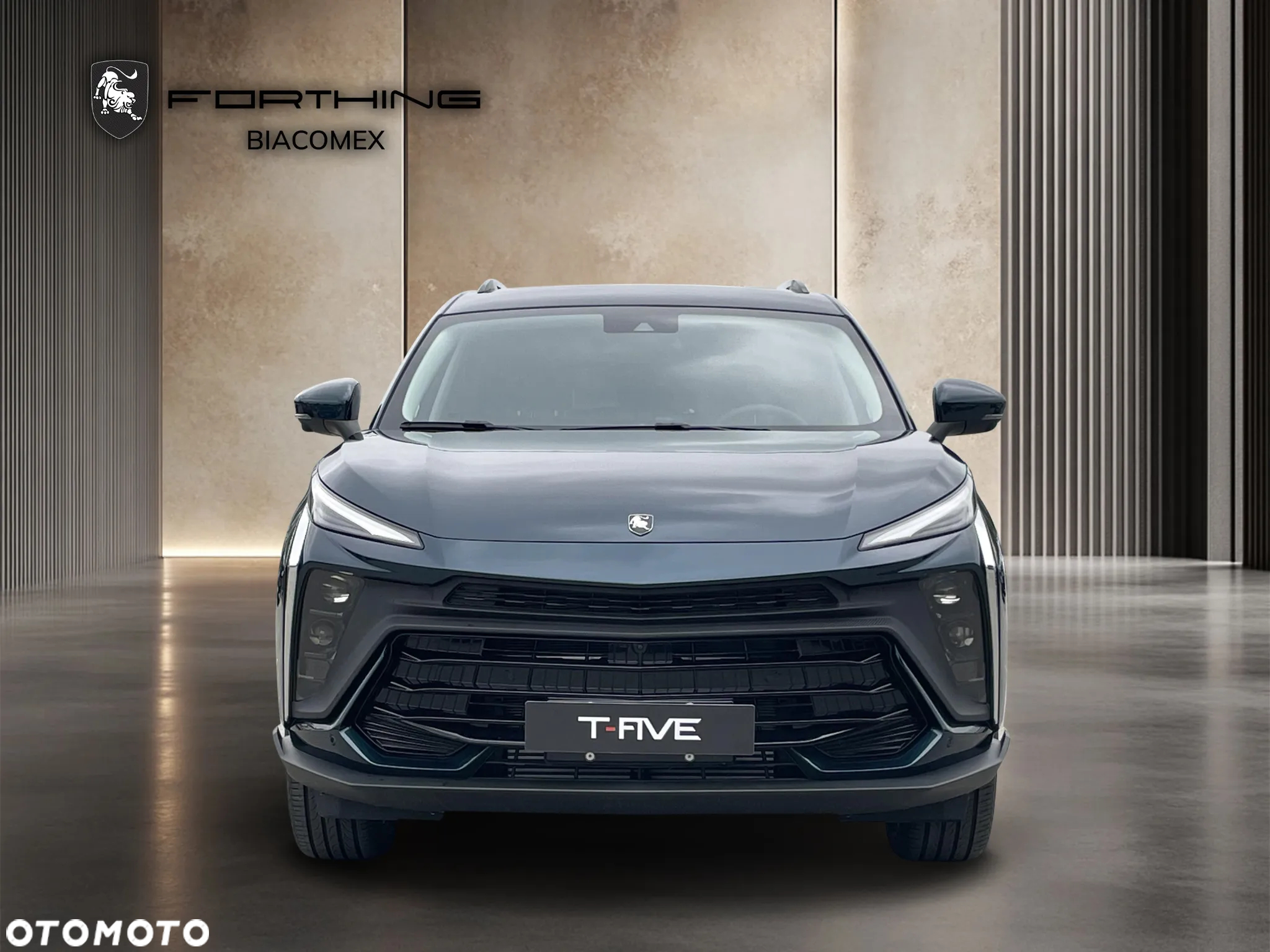 Forthing T5 EVO T-Five 1.5 DVVT GDI DCT - 8