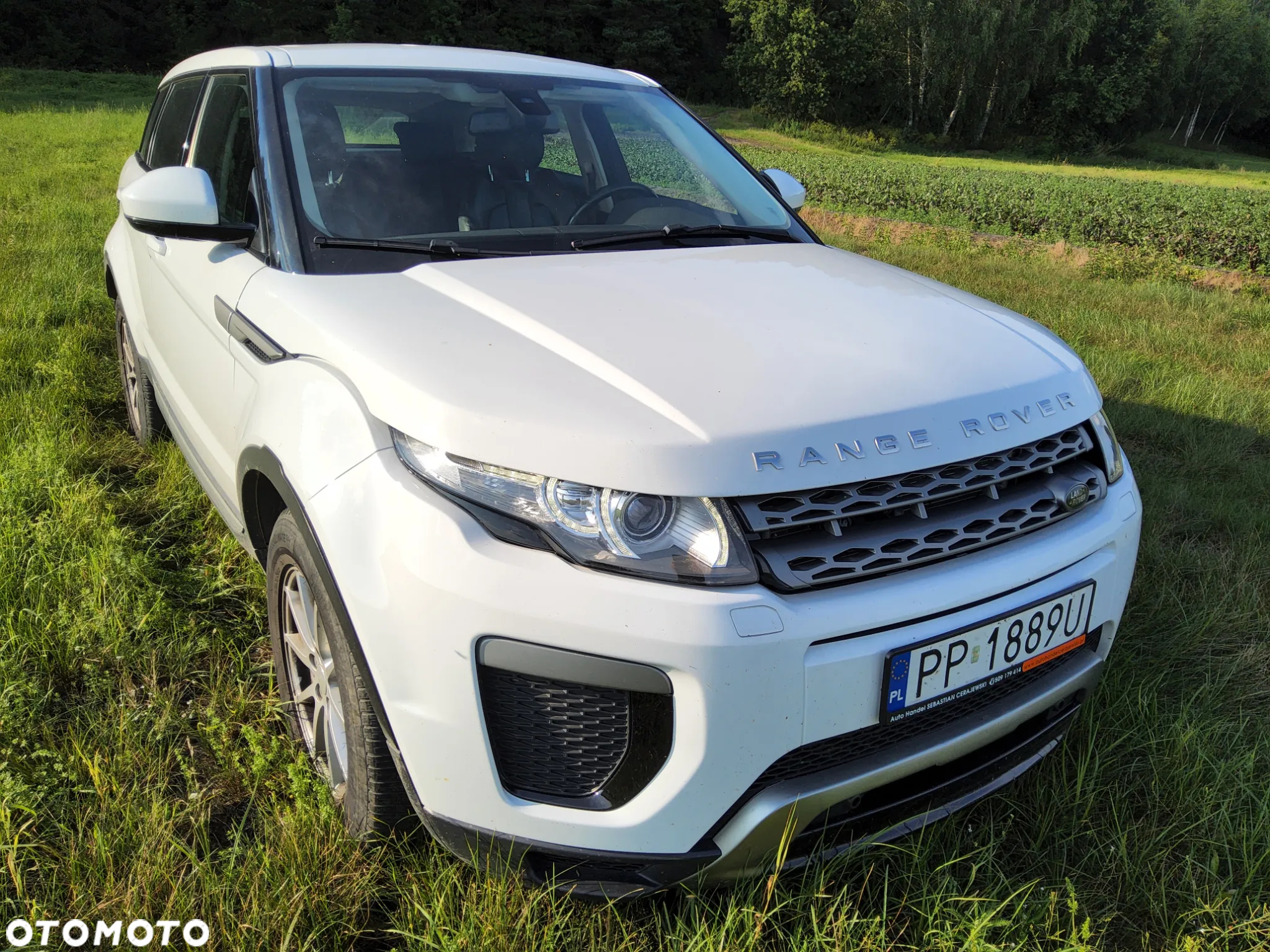 Land Rover Range Rover Evoque 2.2TD4 Prestige - 12