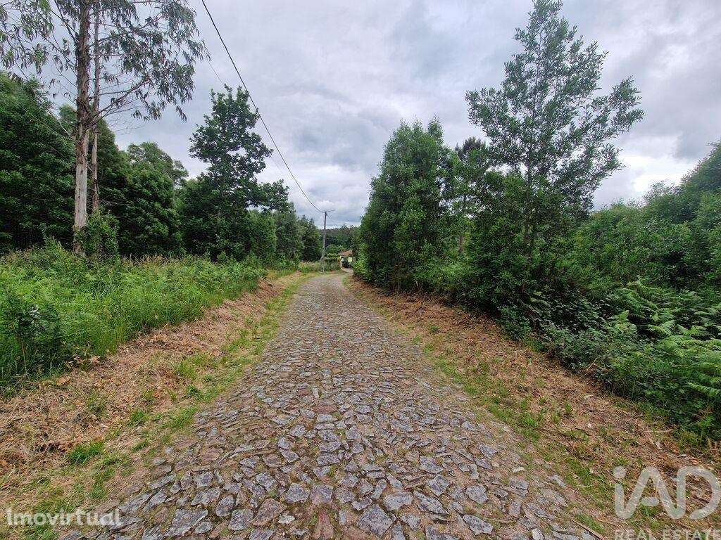 Terreno Agrícola em São Pedro D'Arcos de 660,00 m2 - Grande imagem: 5/29