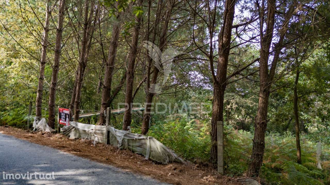 Terreno na Lage - Grande imagem: 4/31