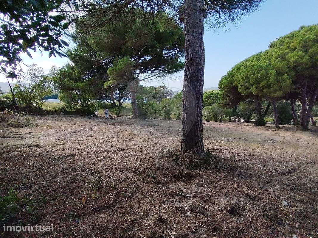 Terreno  para venda - Grande imagem: 4/13