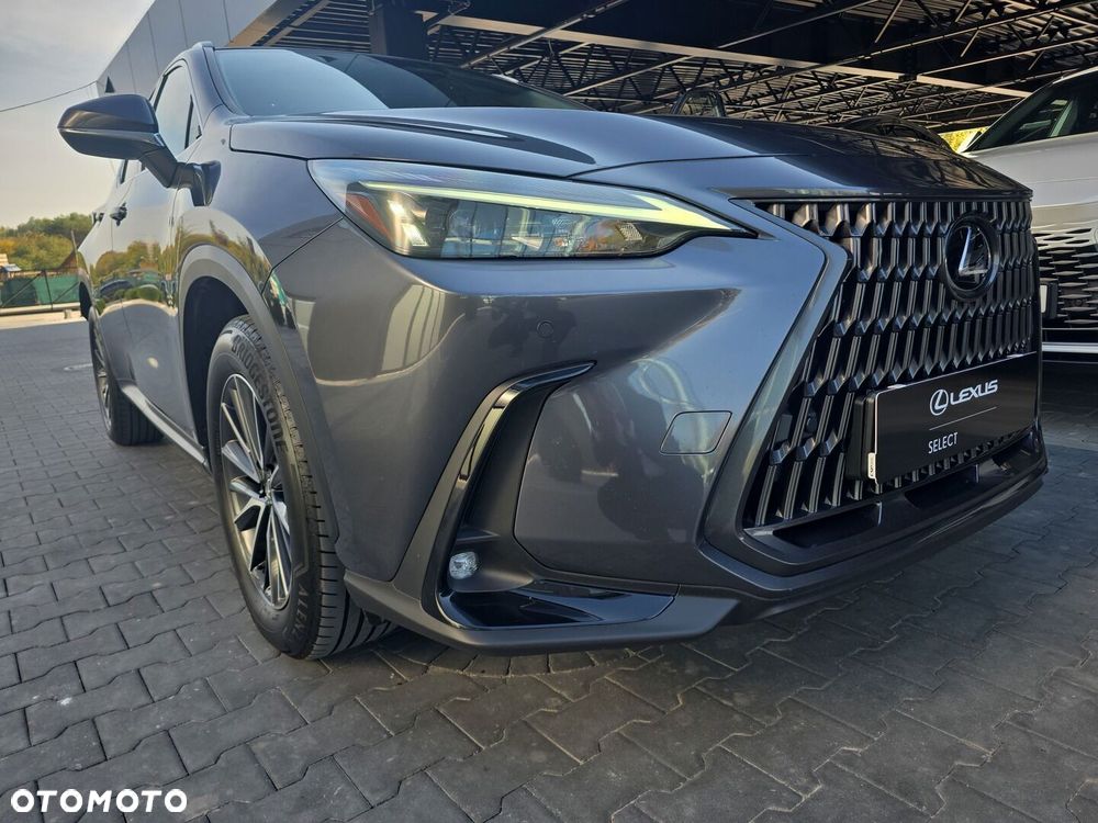 Lexus NX 350h Prestige 2WD - 19