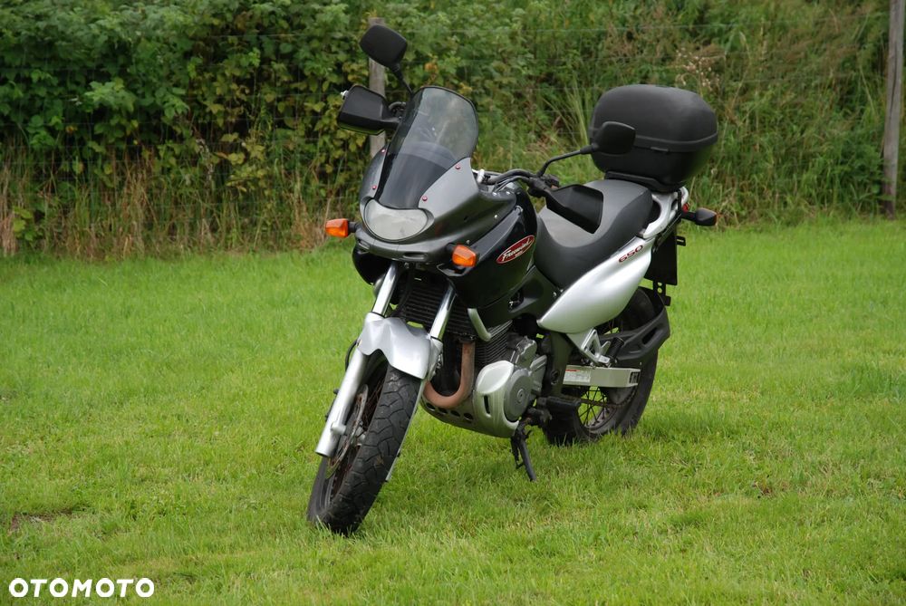 Suzuki XF - 4