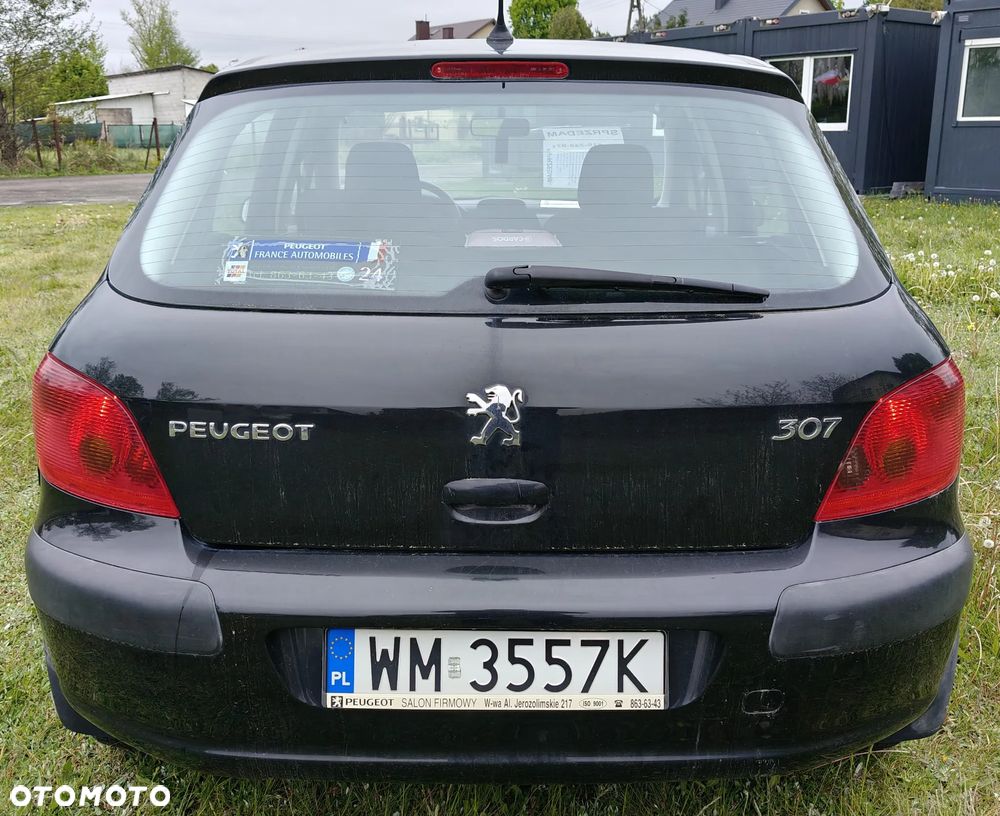 Peugeot 307 1.6 XS - 4
