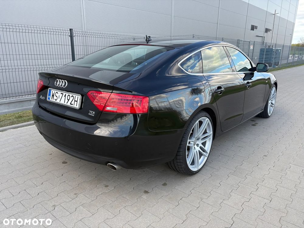 Audi A5 Sportback 3.0 TDI clean diesel quat DPF S tro - 3