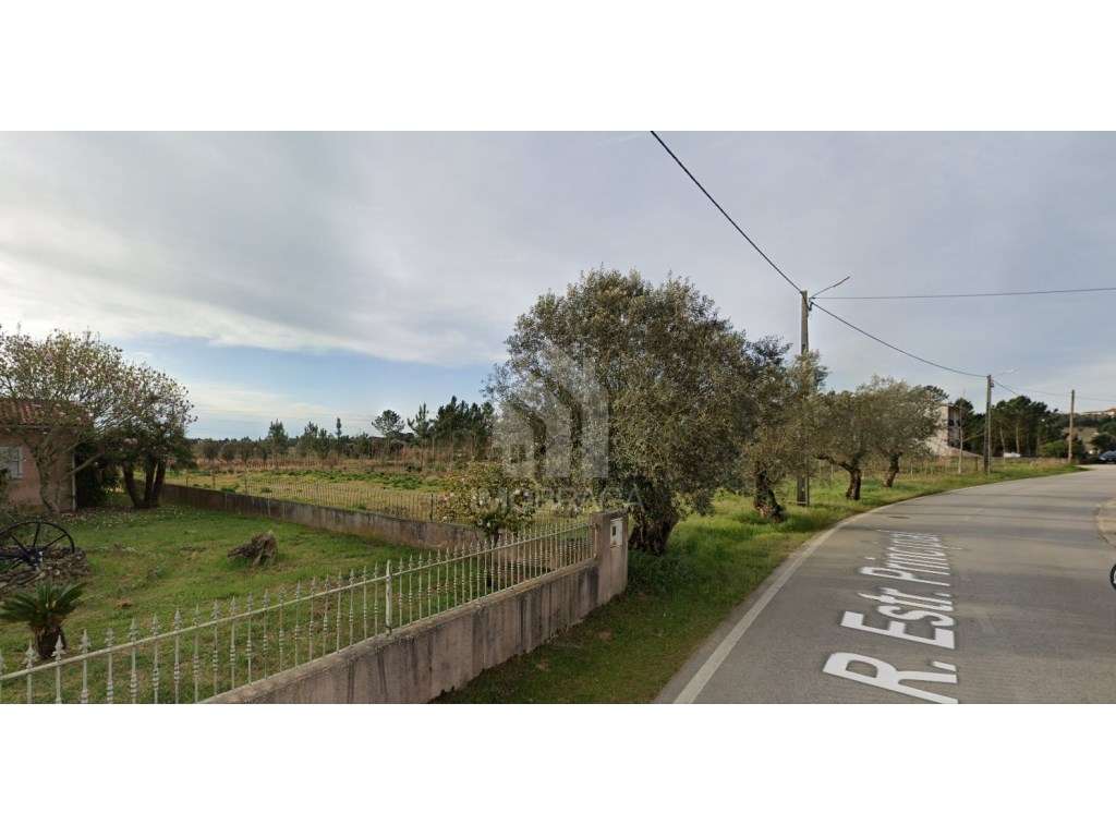 Terreno urbano à venda em São Lourenço do Barro, concelho de Anadia... - Grande imagem: 5/13