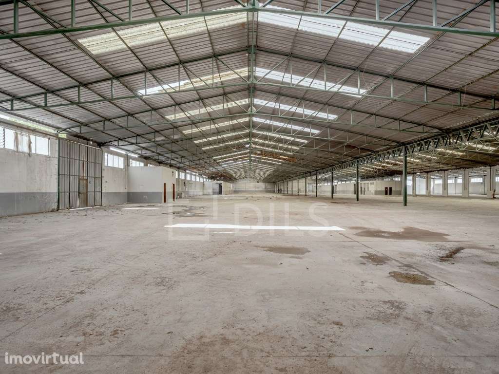 Armazém para venda na Zona Industrial de Torres Novas - Grande imagem: 5/26