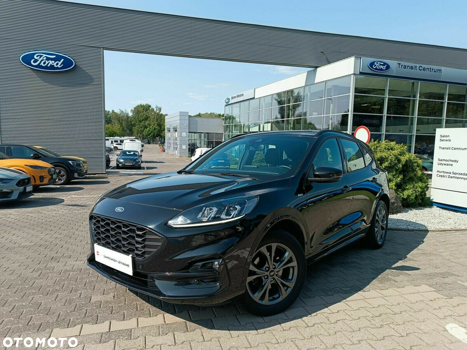 Ford Kuga 2.0 EcoBlue AWD ST-Line - 2