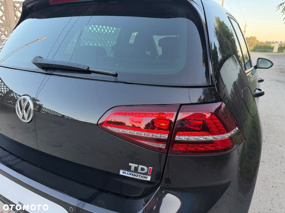 Volkswagen Golf - 13