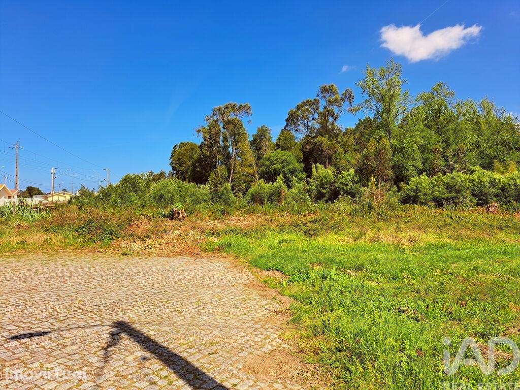Terreno Agrícola em Cortegaça - Grande imagem: 2/5