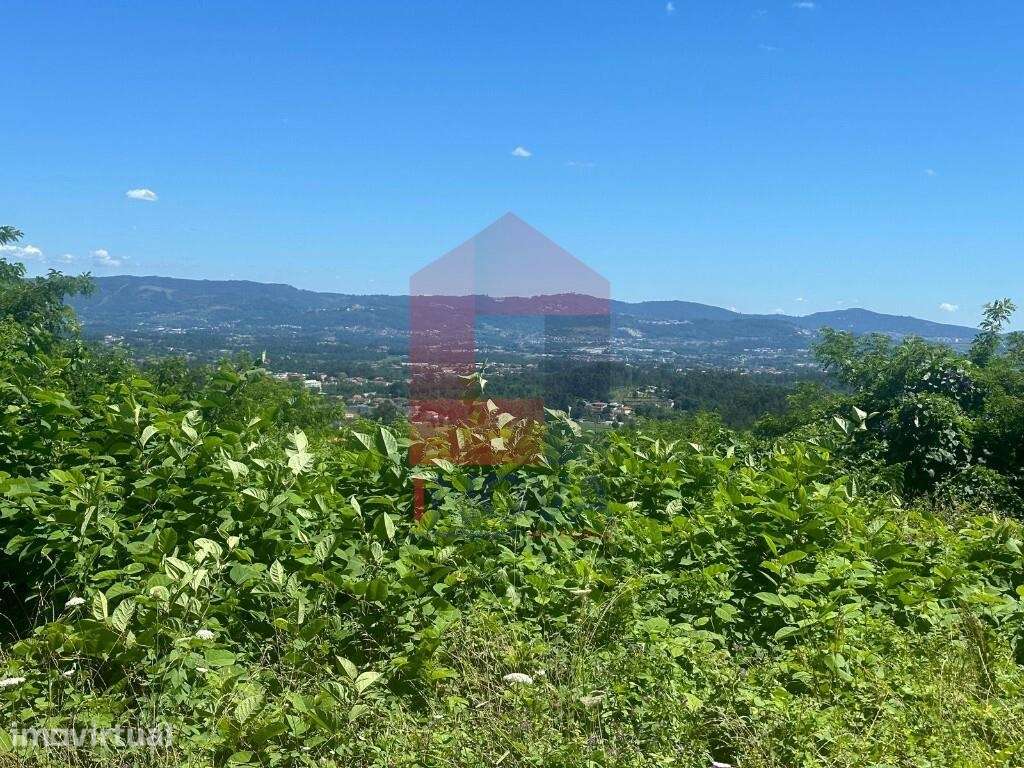 Terreno florestal, Esqueiros - Grande imagem: 3/17