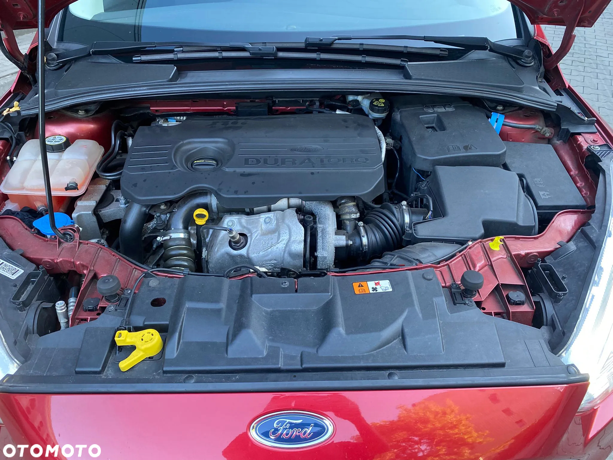 Ford Focus 1.5 TDCi Red Edition - 19