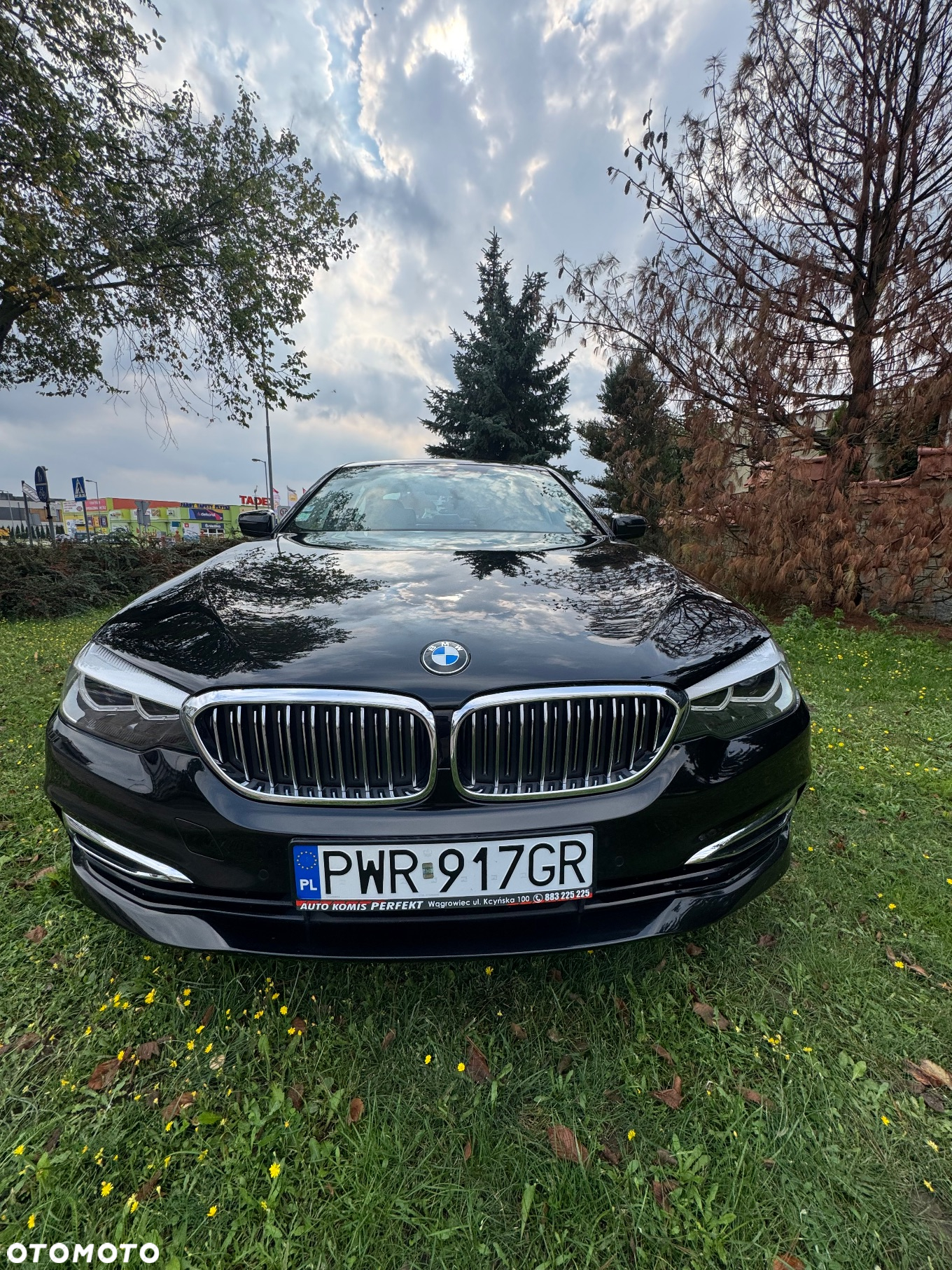 BMW Seria 5 530d Luxury Line sport - 35