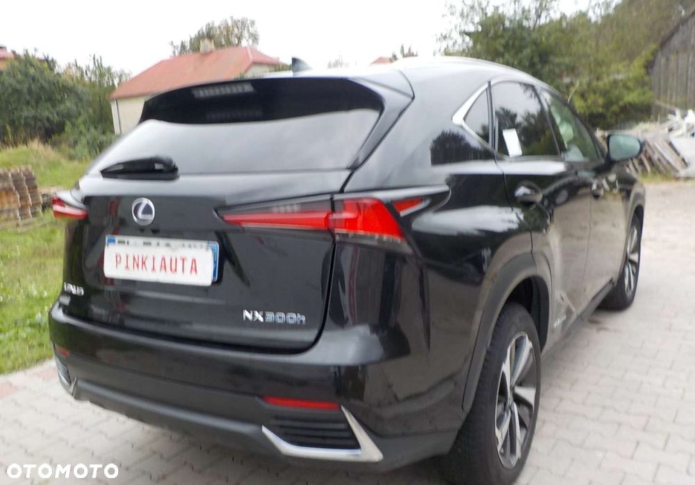 Lexus NX - 15