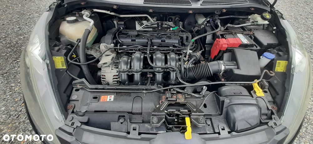 Ford Fiesta - 40