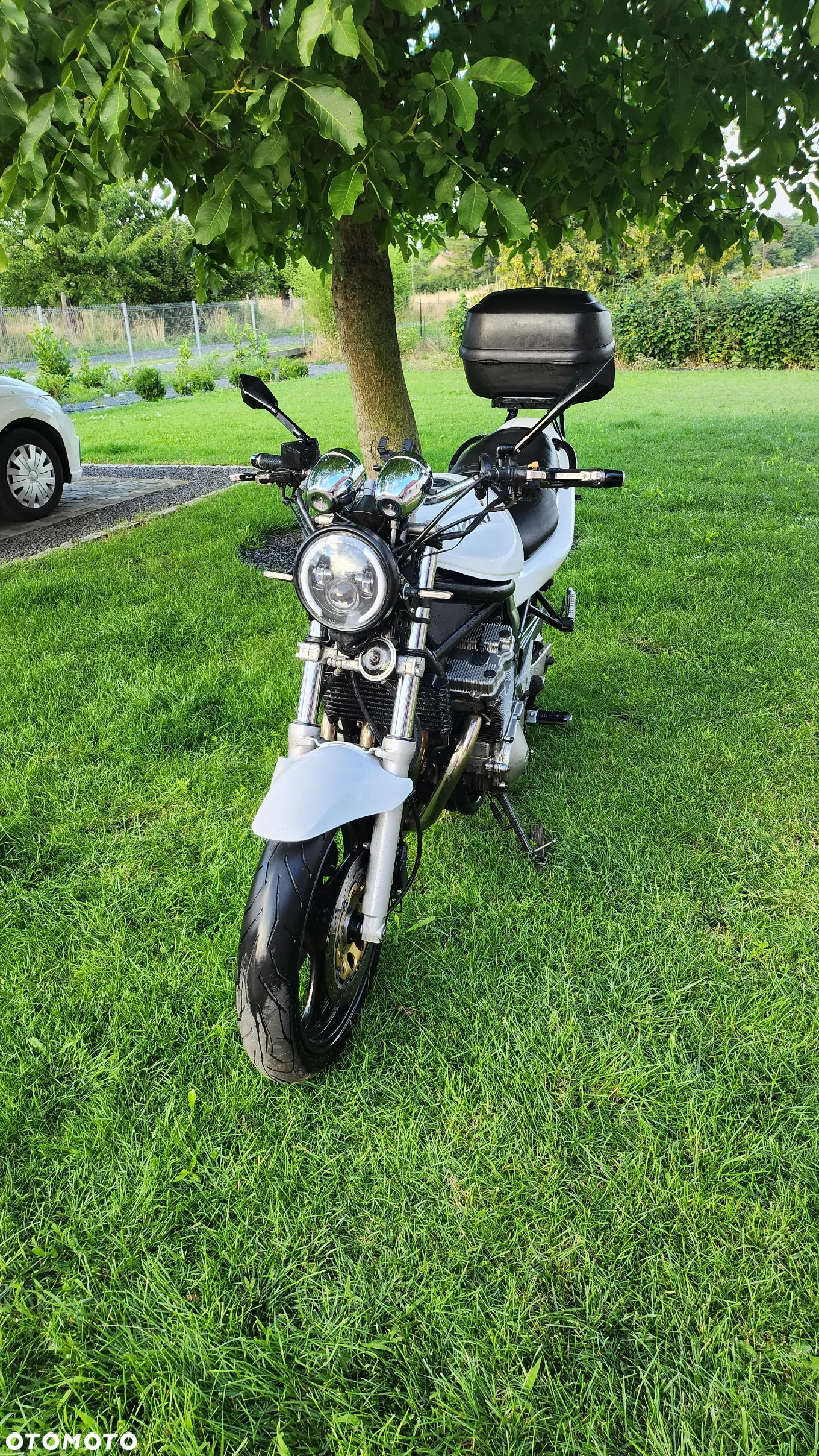 Suzuki Bandit - 15