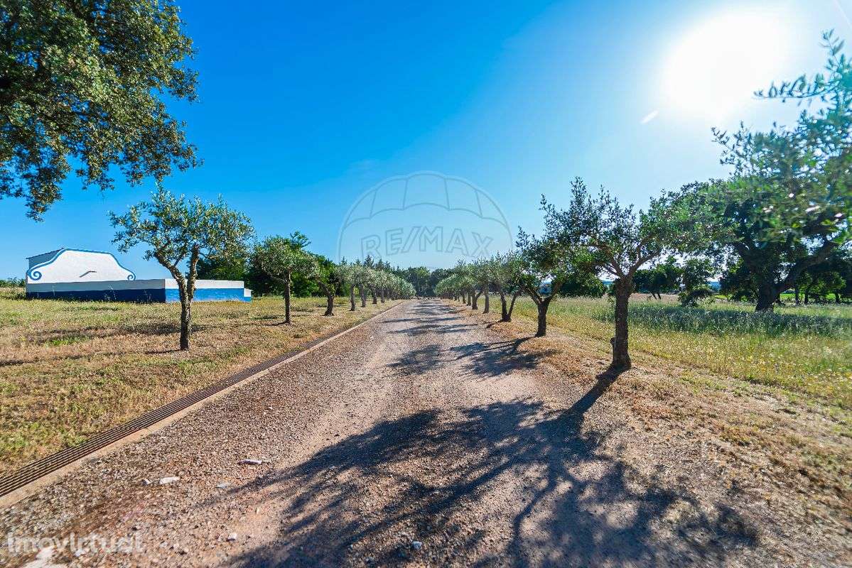 Quinta T5 para venda - Grande imagem: 2/50