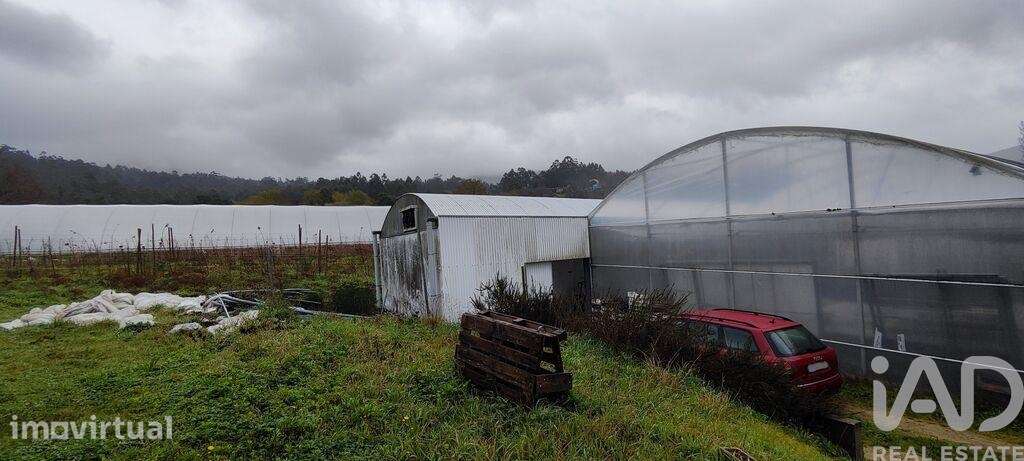Terreno em Cerdal de 8000,00 m2 - Grande imagem: 5/22