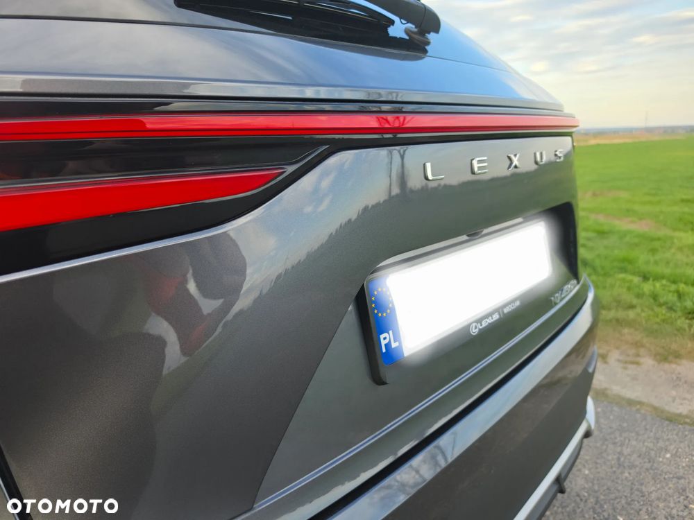 Lexus NX 450h+ F Sport AWD - 10