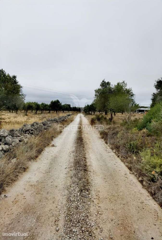 Terreno rústico em Alto da Chã - Alcanena! - Grande imagem: 5/21