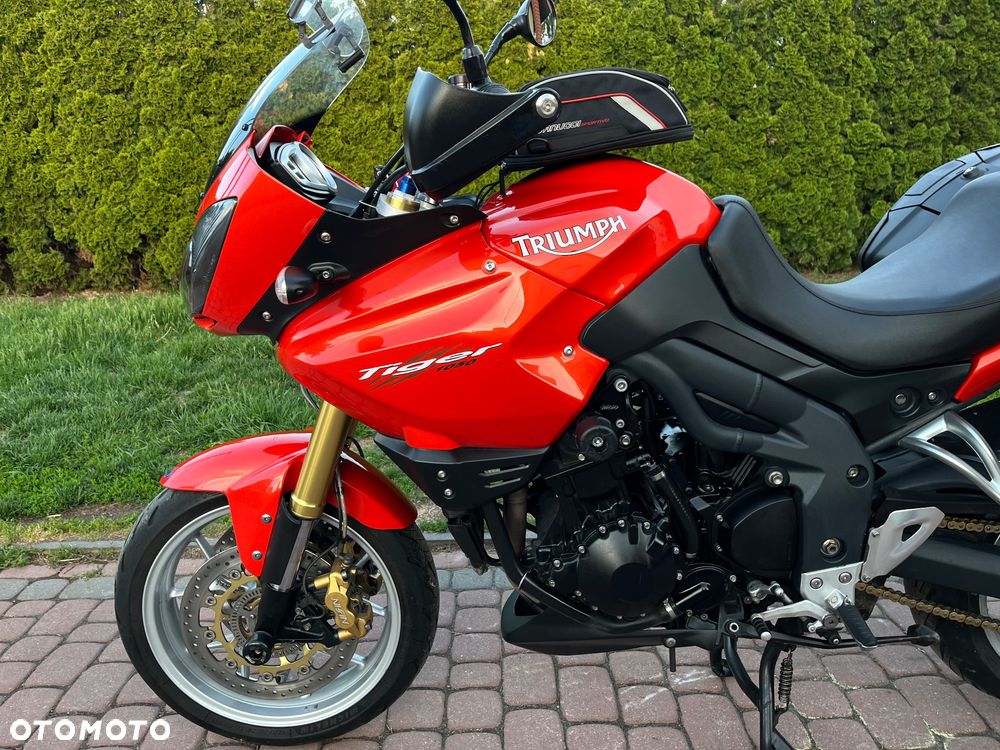 Triumph Tiger - 29