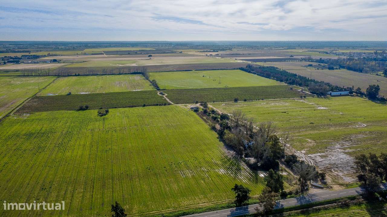 Quinta 25ha com rendimento e Alojamento Local - Grande imagem: 3/47