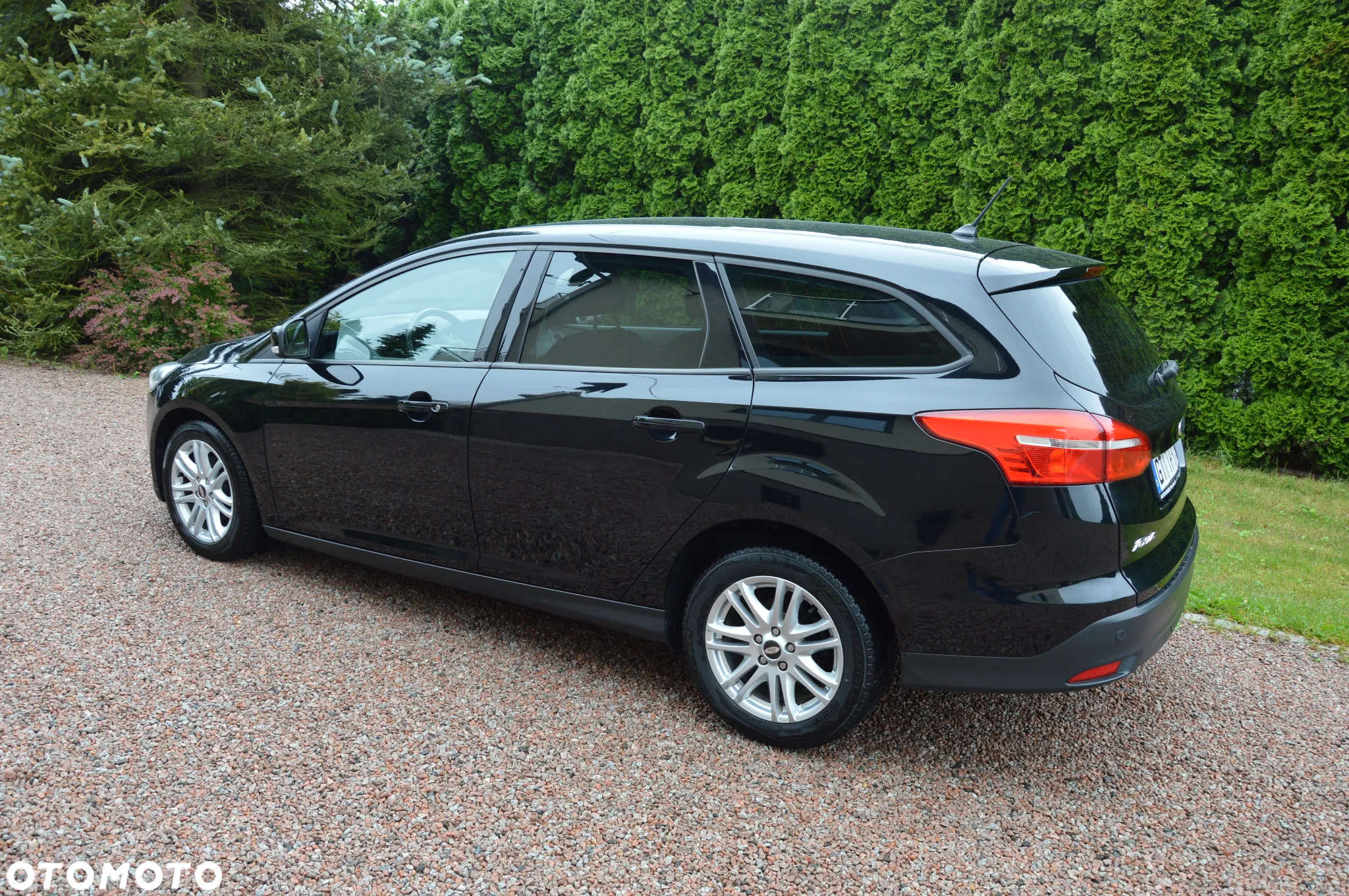 Ford Focus - 17