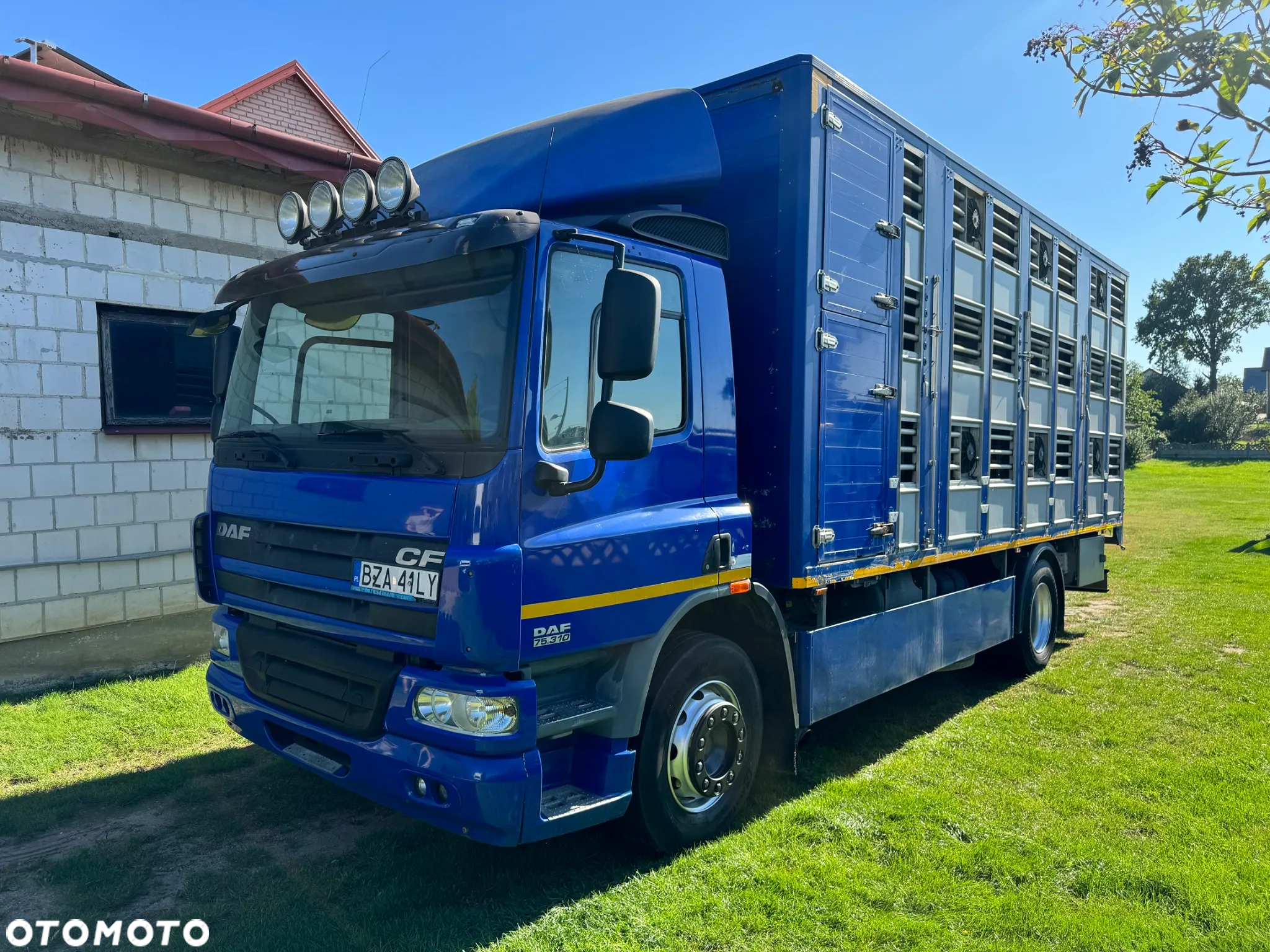 DAF CF 75.310 - 2