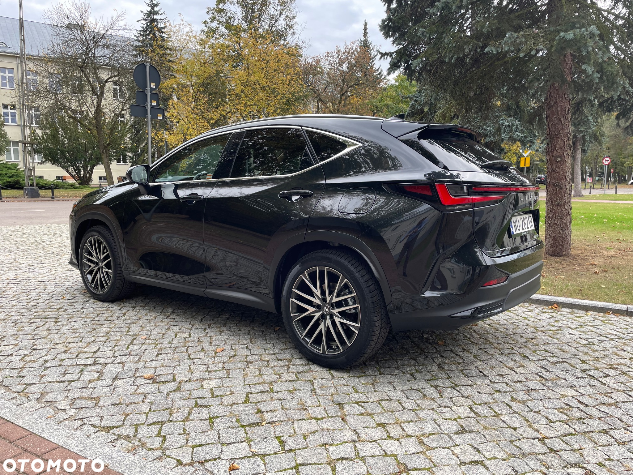 Lexus NX 350h Omotenashi AWD - 3