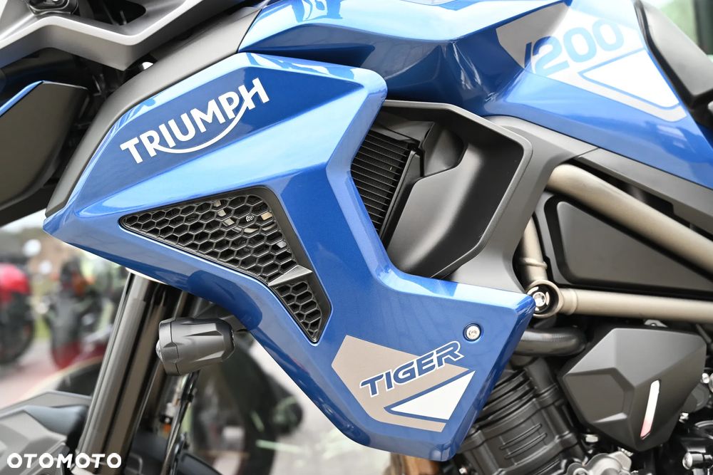Triumph Tiger - 16