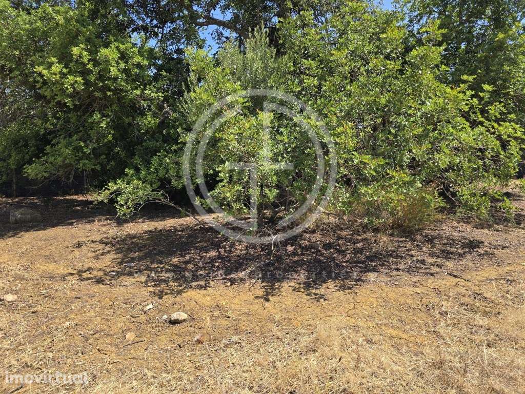 Terreno em Falfosa, Santa Barbara de Nexe, Faro - Grande imagem: 4/12