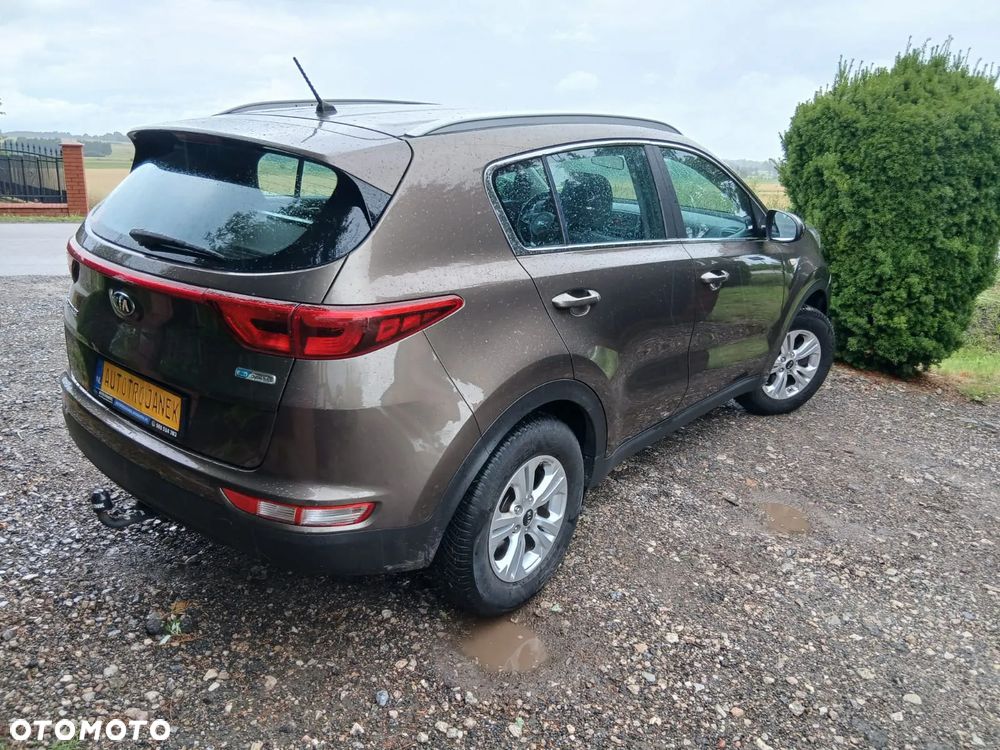 Kia Sportage 1.6 GDI Business Line 2WD - 4