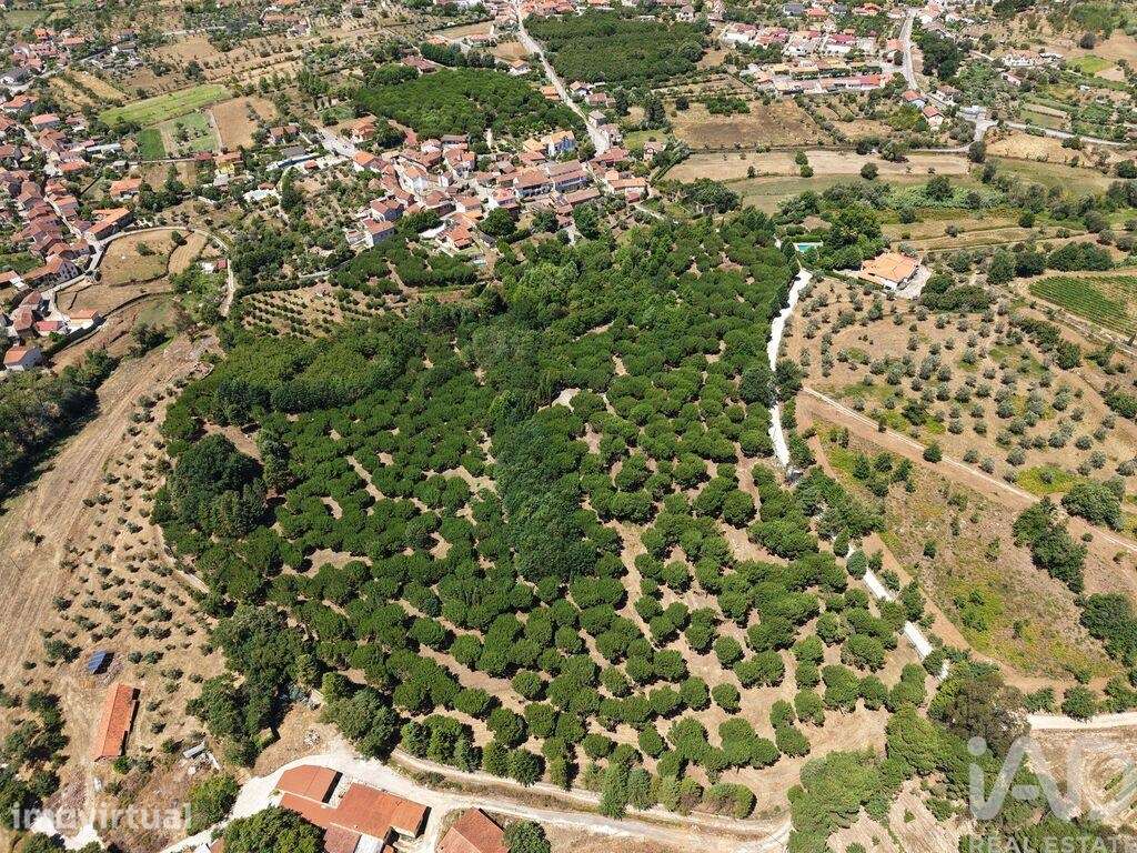 Terreno em Carregal do Sal - Grande imagem: 4/17