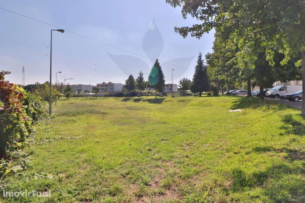 Lote com 1.142m2 para construção de edifício habitacional - Palmeira - Grande imagem: 2/22