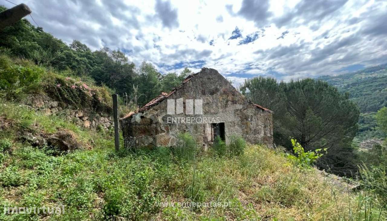 Venda Quinta, Penha Longa, Marco de Canaveses - Grande imagem: 2/29